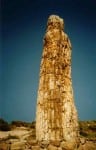 eikona-lesvos apolithomeno dasos