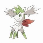 shaymins
