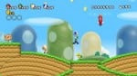 NSMB Wii