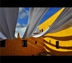 Oleg Lugovskoy - Sun flower
