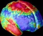 brain