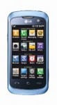 Cookie Gig Blue LG Cookie Gig
