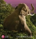 LG Borderless Elephant