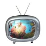 dna_tv_08