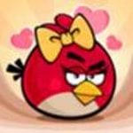 angry birds seasons
