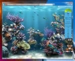 Internet Explorer 9 Photo 1