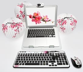 Fingerprint_lampions_low res