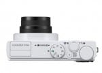 P310_WH_top_lo
