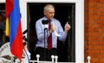 assange ecuador embasy assange ecuador embasy