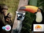 ote zoologiko