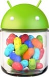 Android JellyBean