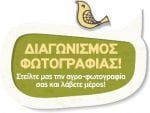 diagonismos_foto