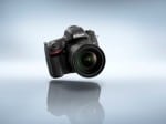 D610_ambience_1 (Large)