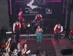 penny and the swinging cats02