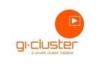 gi-cluster