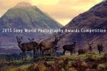 sony-competition-mw-jpg