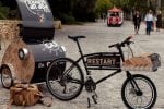 CU Pop Up Bike