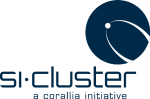 si-cluster
