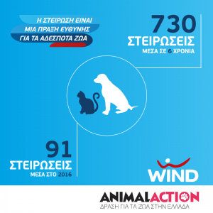 animal-action-wind