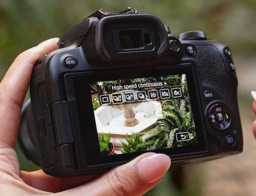 Η καινοτομία του Canon EOS R System συναντά τον αισθητήρα τύπου APS-C με δύο νέες υβριδικές φωτογραφικές μηχανές, την EOS R7 και την EOS R10