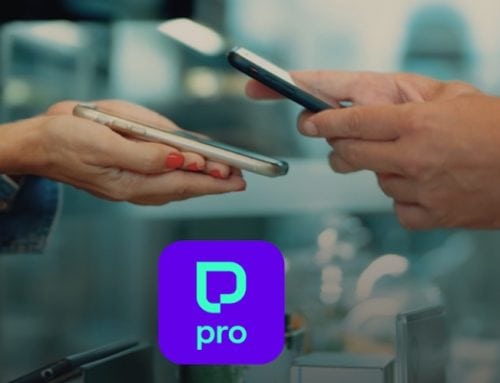 pαyzy pro, η νέα εφαρμογή για μικρομεσαίες επιχειρήσεις: Προβολή, πληρωμή με QR και προσαρμοσμένα cashback